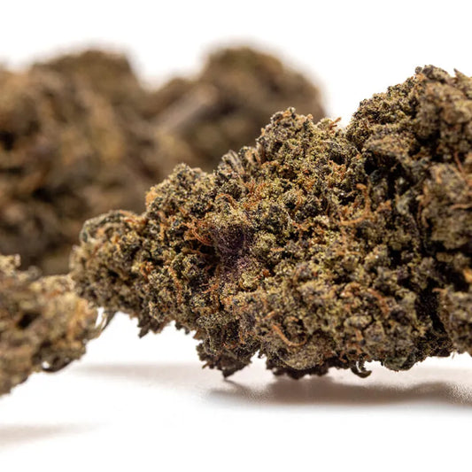 PURPLE PEACH HYDRO – THX