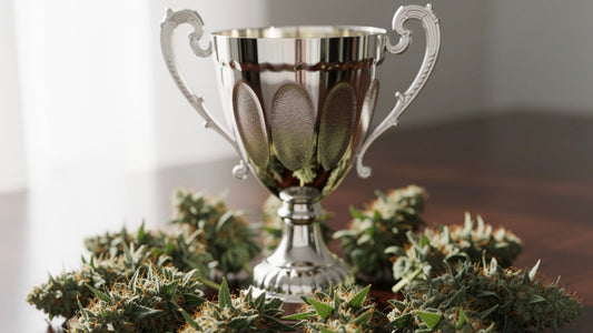 Ciflow Cup 2026: Barcelona begrüßt die neue französischsprachige Cannabis-Szene