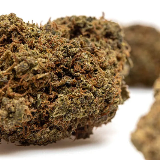 FANTA ORANGE HYDRO – THX